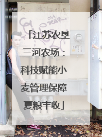 江苏农垦三河农场：科技赋能小麦管理保障夏粮丰收