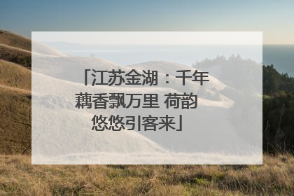 江苏金湖：千年藕香飘万里 荷韵悠悠引客来