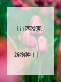 江西发现新物种！