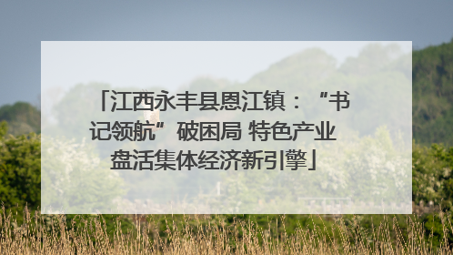 江西永丰县恩江镇：“书记领航”破困局 特色产业盘活集体经济新引擎