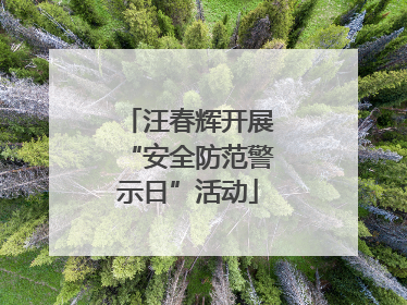 汪春辉开展“安全防范警示日”活动
