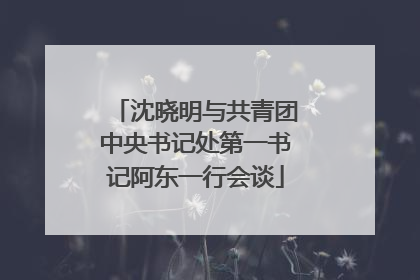 沈晓明与共青团中央书记处第一书记阿东一行会谈
