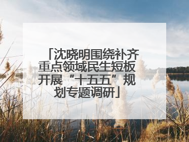 沈晓明围绕补齐重点领域民生短板开展“十五五”规划专题调研