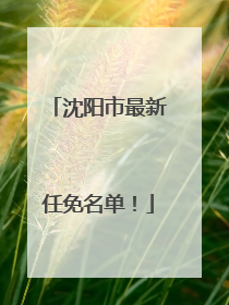 沈阳市最新任免名单！