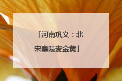河南巩义：北宋皇陵麦金黄