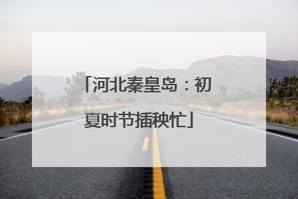 河北秦皇岛：初夏时节插秧忙