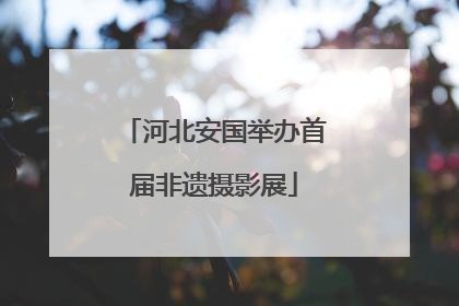 河北安国举办首届非遗摄影展