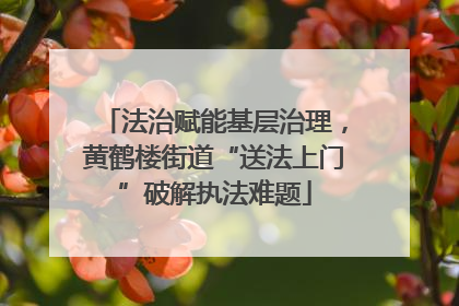 法治赋能基层治理，黄鹤楼街道“送法上门”破解执法难题