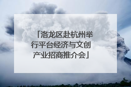 洛龙区赴杭州举行平台经济与文创产业招商推介会