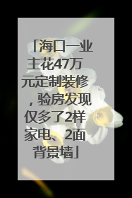 海口一业主花47万元定制装修，验房发现仅多了2样家电、2面背景墙