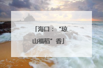 海口：“琼山福稻”香