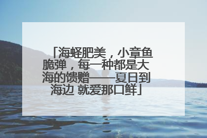 海蛏肥美，小章鱼脆弹，每一种都是大海的馈赠——夏日到海边 就爱那口鲜