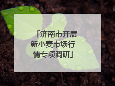 济南市开展新小麦市场行情专项调研