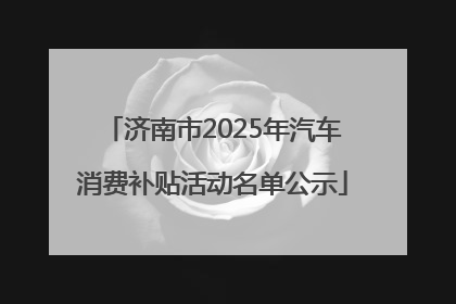 济南市2025年汽车消费补贴活动名单公示