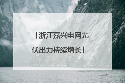 浙江嘉兴电网光伏出力持续增长