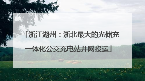 浙江湖州：浙北最大的光储充一体化公交充电站并网投运