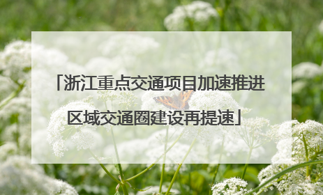浙江重点交通项目加速推进 区域交通圈建设再提速