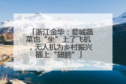 浙江金华：婺城蔬菜也“坐”上了飞机，无人机为乡村振兴插上“翅膀”
