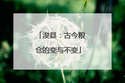 浚县：古今粮仓的变与不变