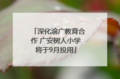 深化渝广教育合作 广安树人小学将于9月投用