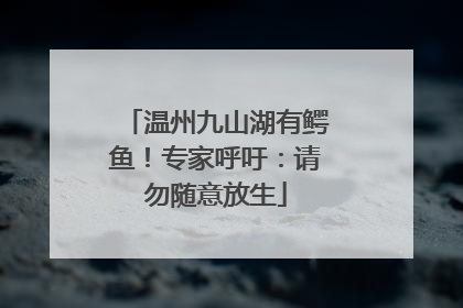 温州九山湖有鳄鱼！专家呼吁：请勿随意放生