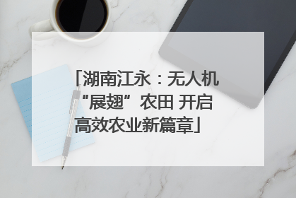 湖南江永：无人机“展翅”农田 开启高效农业新篇章