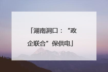 湖南洞口：“政企联合”保供电