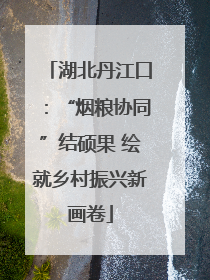 湖北丹江口：“烟粮协同”结硕果 绘就乡村振兴新画卷
