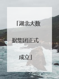 湖北大数据集团正式成立