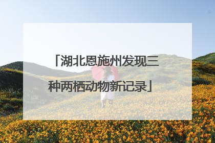 湖北恩施州发现三种两栖动物新记录