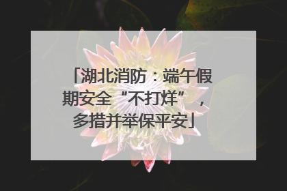 湖北消防：端午假期安全“不打烊”，多措并举保平安