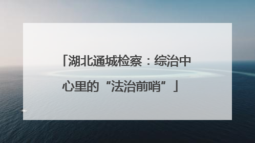 湖北通城检察：综治中心里的“法治前哨”