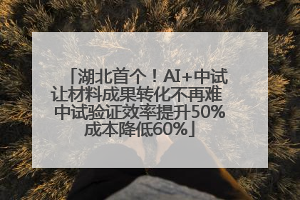 湖北首个！AI+中试让材料成果转化不再难 中试验证效率提升50%成本降低60%