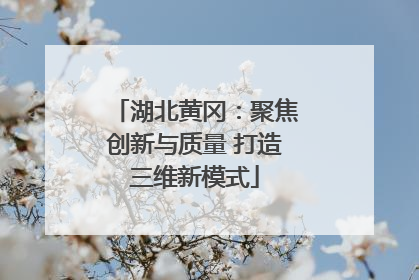 湖北黄冈：聚焦创新与质量 打造三维新模式