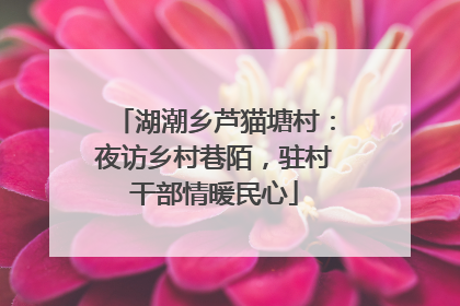 湖潮乡芦猫塘村：夜访乡村巷陌，驻村干部情暖民心