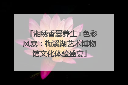 湘绣香囊养生+色彩风暴：梅溪湖艺术博物馆文化体验盛宴