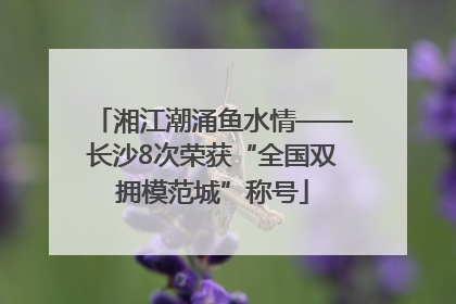 湘江潮涌鱼水情——长沙8次荣获“全国双拥模范城”称号
