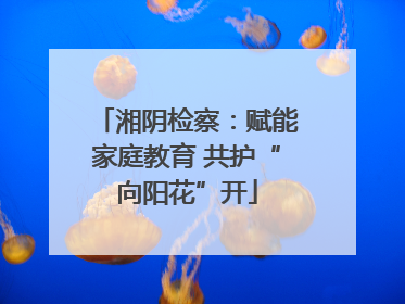 湘阴检察：赋能家庭教育 共护“向阳花”开