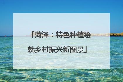 菏泽：特色种植绘就乡村振兴新图景