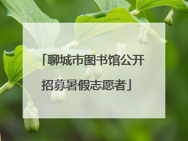 聊城市图书馆公开招募暑假志愿者