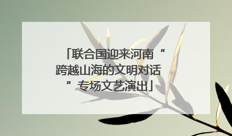 联合国迎来河南“跨越山海的文明对话”专场文艺演出