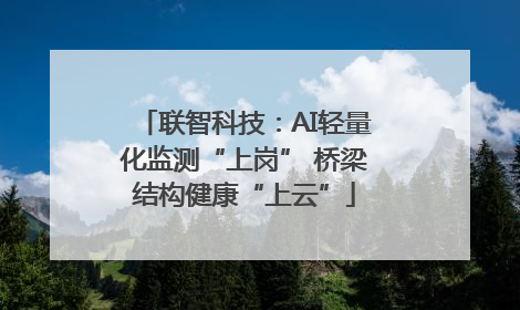 联智科技：AI轻量化监测“上岗” 桥梁结构健康“上云”