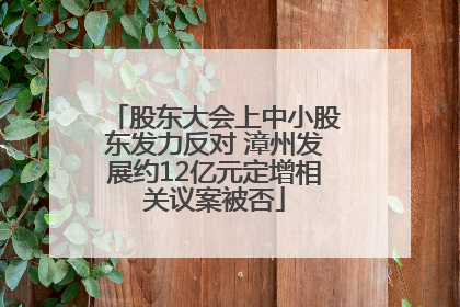 股东大会上中小股东发力反对 漳州发展约12亿元定增相关议案被否