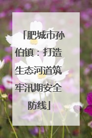 肥城市孙伯镇：打造生态河道筑牢汛期安全防线