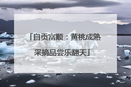 自贡富顺：黄桃成熟 采摘品尝乐翻天