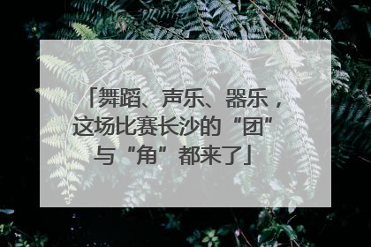 舞蹈、声乐、器乐，这场比赛长沙的“团”与“角”都来了