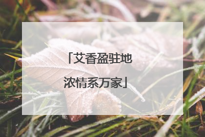 艾香盈驻地 浓情系万家