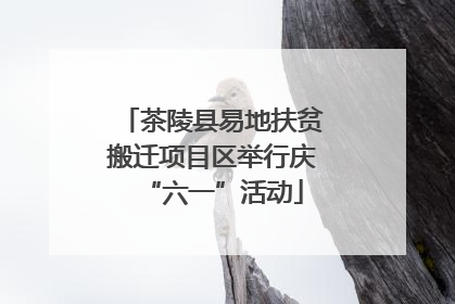 茶陵县易地扶贫搬迁项目区举行庆“六一”活动
