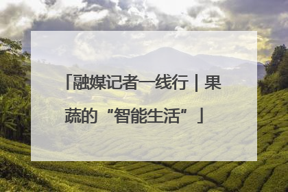 融媒记者一线行｜果蔬的“智能生活”