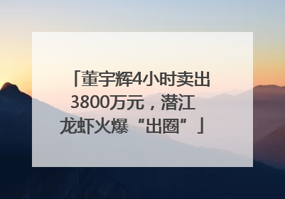 董宇辉4小时卖出3800万元，潜江龙虾火爆“出圈”